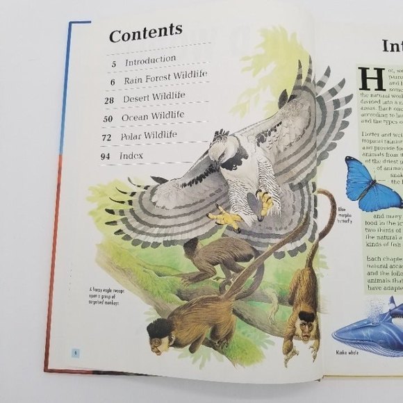Childrens Nature Wild World by Jinny Johnson 90s HC Barnes & Noble VTG - Picture 5 of 6